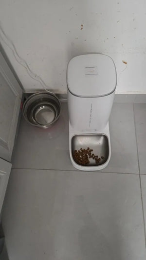 A2801f08a767f4ff586a88cb5ebaf239eG.jpg