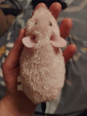 A8c5483000e914c4a994db309b6b92d0ez.jpg