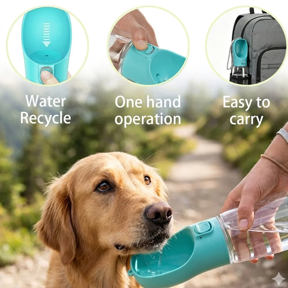 The Hydration Station